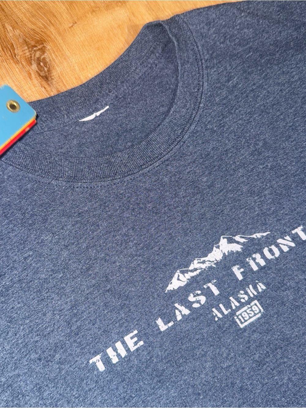 Vintage 90s Alaska The Last Frontier 1959 Blue Nature T Shirt Size Large DadCore